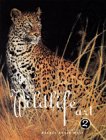 The Best of Wildlife Art 2