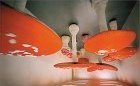 Carsten Holler: Register